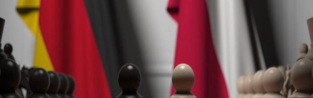 The AfD’s Co-Leader Declared That Poland Could Become A Threat To Germany