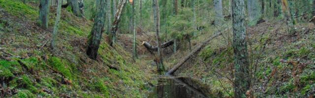 MULJETAVALDAV LOODUS | Omamoodi paik Lõimandi lähistel