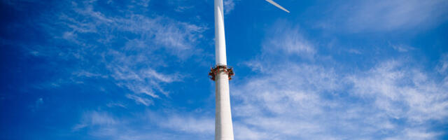 Käendusmeede aitaks tuua Eestisse miljardites energeetikainvesteeringuid