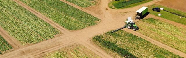 Norra väetisetootja: Euroopa kõrged gaasihinnad võivad vallandada vaestes riikides näljahäda