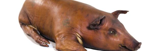 Uut ja põnevat sööki-jooki jaanilauale