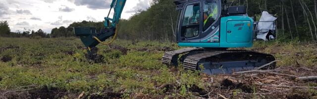 Riigimetsas suurenes sügisistutuse ja masinistutuse maht