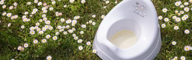 SAHINAD | Palume appi! Hiiumaa muuseumil on puudu 30 liitrit uriini