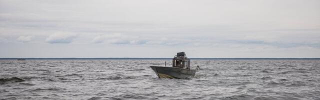Valitsus tahab suurendada pea kõiki kutselise kalapüügi tasusid, kohati lausa kümme korda