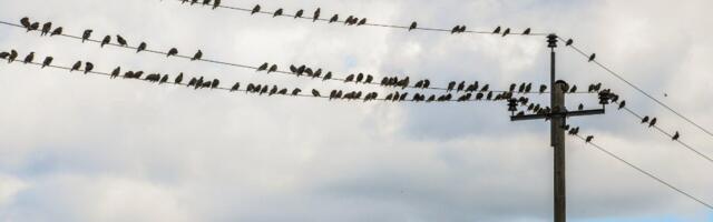 PÄEVAHOROSKOOP: laupäev, 10. mai