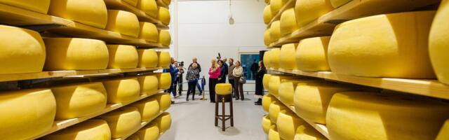 Valio uude lattu mahub küpsema 110 000 prisket juustukera