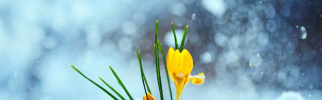 2026. aasta märts toob kahele tähemärgile eriti palju õnne ja uusi võimalusi