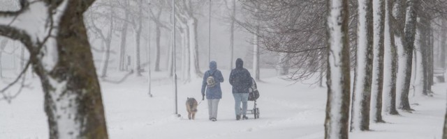Lumi ja tuisk Saaremaal