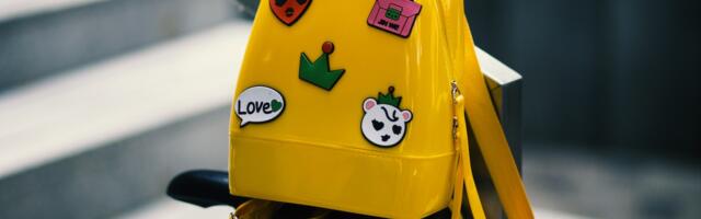 Kastre vallavalitsus võtab vastu ranitsatoetuse taotlusi