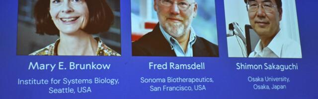 Nobel Prize in medicine awarded for immune system breakthroughs