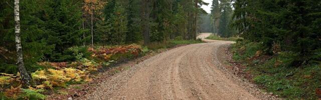 RMK haldab metsataristut edaspidi mahedamalt