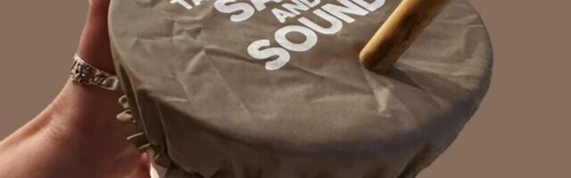 Viimsi õpilasfirma pakub katet