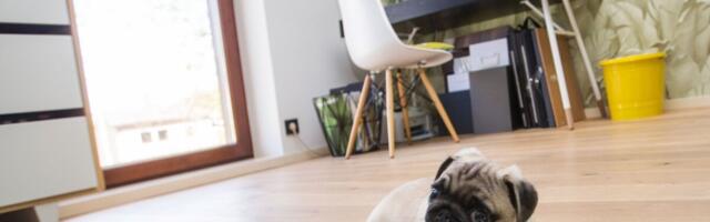 Organisatsioone oodatakse kaugtöömärgist taotlema