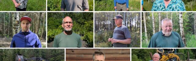 Laupäeval selgub tänavune parim metsamajandaja