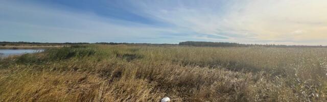 Pärnumaa looduskaitsealalt leiti võõra riigi drooni tükk
