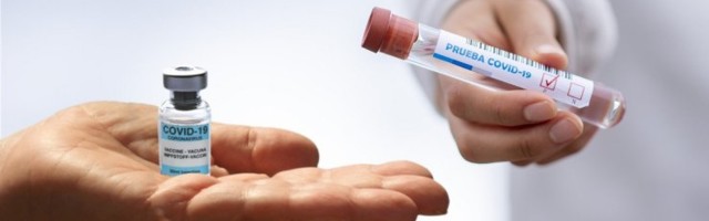 Mida me teame koroonaviiruse kahe uue tüve kohta, mis viimase kuu jooksul maailmas levima hakanud?