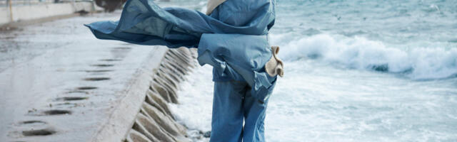 KÕVA SÕNA: poliitkaprofessori järelehüüe tuulest viidud Eesti 200-le