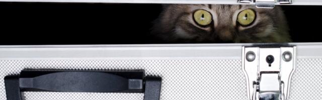 Andrei Hvostov: Hormuzi väin on muutunud Schrödingeri väinaks. Keegi ei saa enam aru, kas see on lahti või kinni