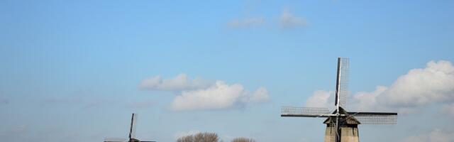 Hollandi hõivamine: kas valitsus arestib 3000 talumajapidamist?