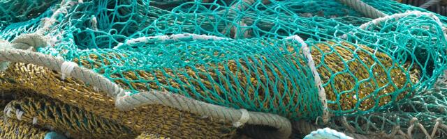 Läänemaal peatatakse räimepüük ja kastmõrra kasutamine