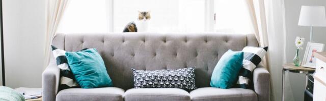 TTJA hoiatab tarbijaid mööblimüüja eest