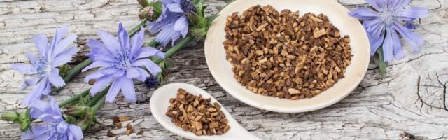 Lactobacillus salivarius: 3 olulist kasu tervisele