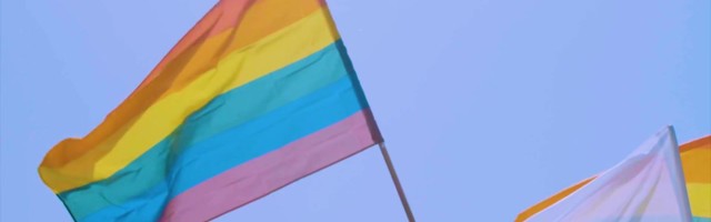 Reporter: Eesti 200 ja Rohelised allkirjastasid ühisdeklaratsiooni, millega tahavad Eesti ühiskonnas seadustada samasooliste abielu