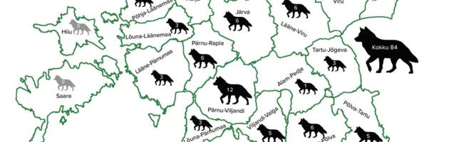 Keskkonnaamet lubab kõige rohkem hunte küttida Pärnu-Viljandi ohjamisalal