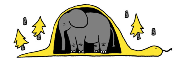 Mihkel Kangur: elevant kübaras