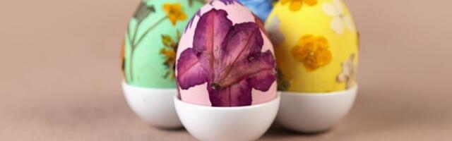 Trend za Vaskrs: Ukrasite jaja presovanim cvećem na jednostavan način (FOTO)