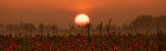 Romet Vaino: kuutõbisena kuumalaine harjal