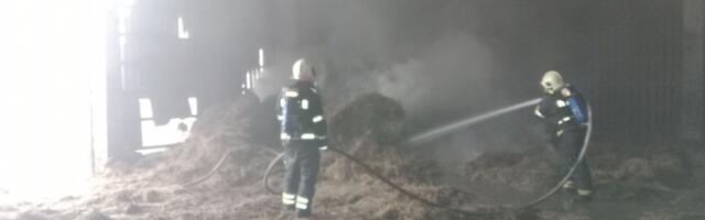 Lõuna päästekeskuse päästjad said väljakutsed Jõgeva-, Tartu- ja Viljandimaalt