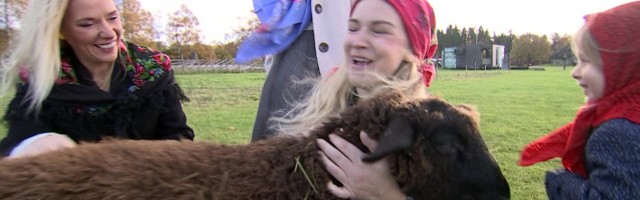 Reporter: Saage tuttavaks Viimsi vabaõhumuuseumi sündmuste korraldaja Katjaga