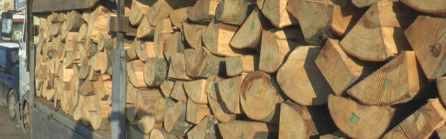 NIŽE CENE OGREVNOG DRVETA, ZA OVE GRAĐANE - BESPLATNO! Država je rešila da stane na put visokim cenama