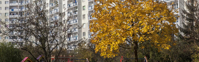 Kes on korteriühistu valitseja ja millised on tema õigused ning kohustused?