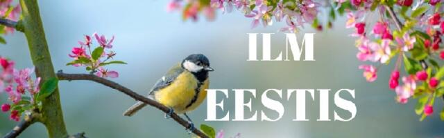 4 päeva ilm: 7.04-10.04.25. Sajab vihma, lörtsi, lund ja õhutemperatuur -8..+8°C.