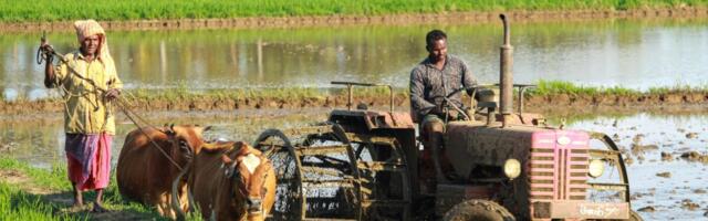 Raport: põllumajandustoodang kasvab aastaks 2034 üle 14%