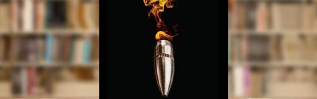 RAAMATUBLOGI: Palgamõrvar, moraal ja inimlikkus