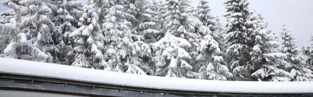 Austrias protesteeriti Venemaa sportlaste võistlusele lubamise vastu