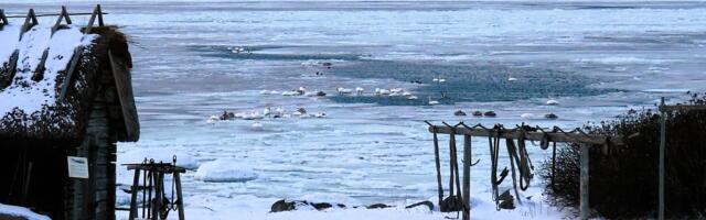GALERII: Vabaõhumuuseumi veebruarikuine vaikelu
