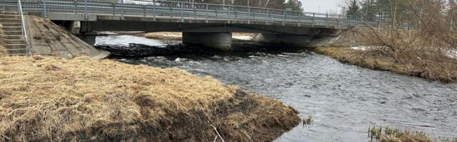 Endise lihakombinaadi maa-alalt imbus Pärnu jõkke masuuti