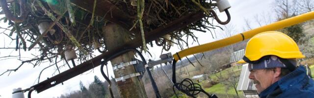 Eestis napib elektrikuid: “Noori on väga juurde vaja”