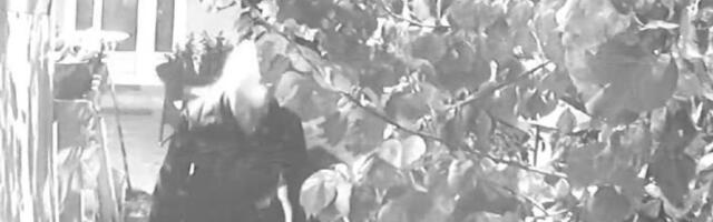 Upala u tuđe dvorište, pa vitlala nožem: Evo šta se dešava sa ženom koja je napravila haos u Prokuplju