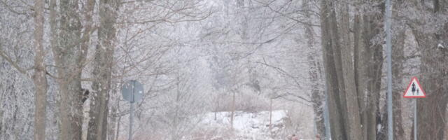 KRAADID KUKKUSID | Jaanuar oli Hiiumaal külm ja kuiv