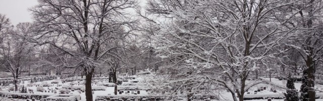 SUUR ANALÜÜS: Rootsi 2020. aasta suremus – kas tõesti ebaõnnestunud “koroonaeksperimendi” tulemus?