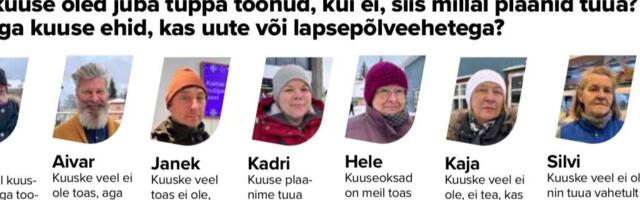KÜSITLUS | Kas kuuse oled juba tuppa toonud, kui ei, siis millal plaanid tuua?