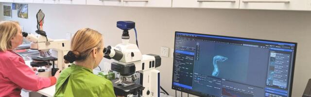 METK: sööda puhtuse ja kvaliteedi kontrollimine on oluline