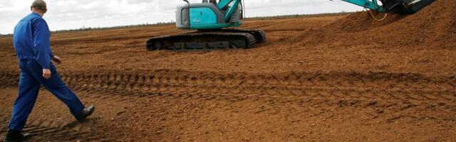 Kasutatud ehituspuidust saab kvaliteetset kasvusubstraati