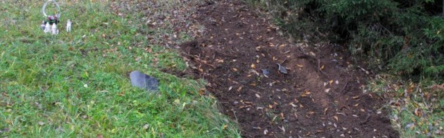 FOTOD SÜNDMUSKOHALT | Valgamaal hukkus teelt välja vastu puud paiskunud autos 23-aastane mees