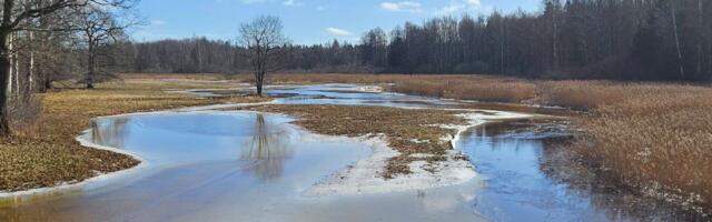 Kas tänavu läheb ka nii? Poole sajandi jooksul on Soomaal 5. aastaaeg kaks korda ära jäänud